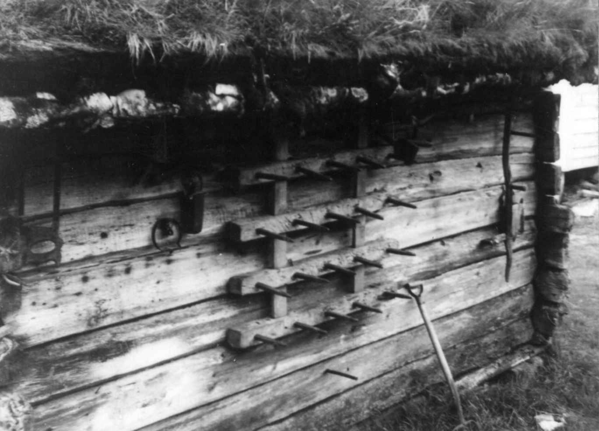 Tindahorv, var brukt til å horve såkornet ned i åkere. Horva henger på veggen på Gammalnilsbua, Havrevoll. Suldal, Rogaland.