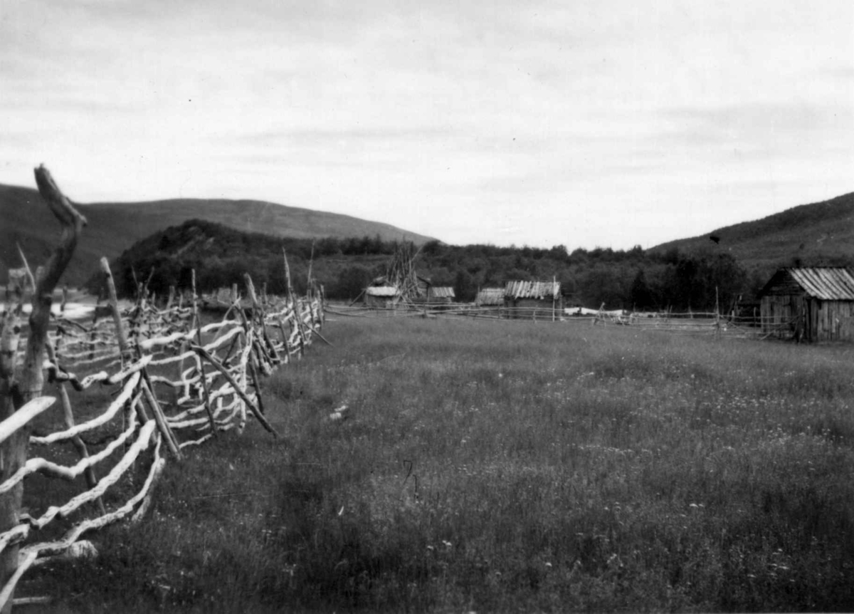 Gården til Samuel Mikkelsen, sett fra utkanten av gårdsjordet,  stabburene og boligen i bakgrunnen. Levajokgiedde 1952.