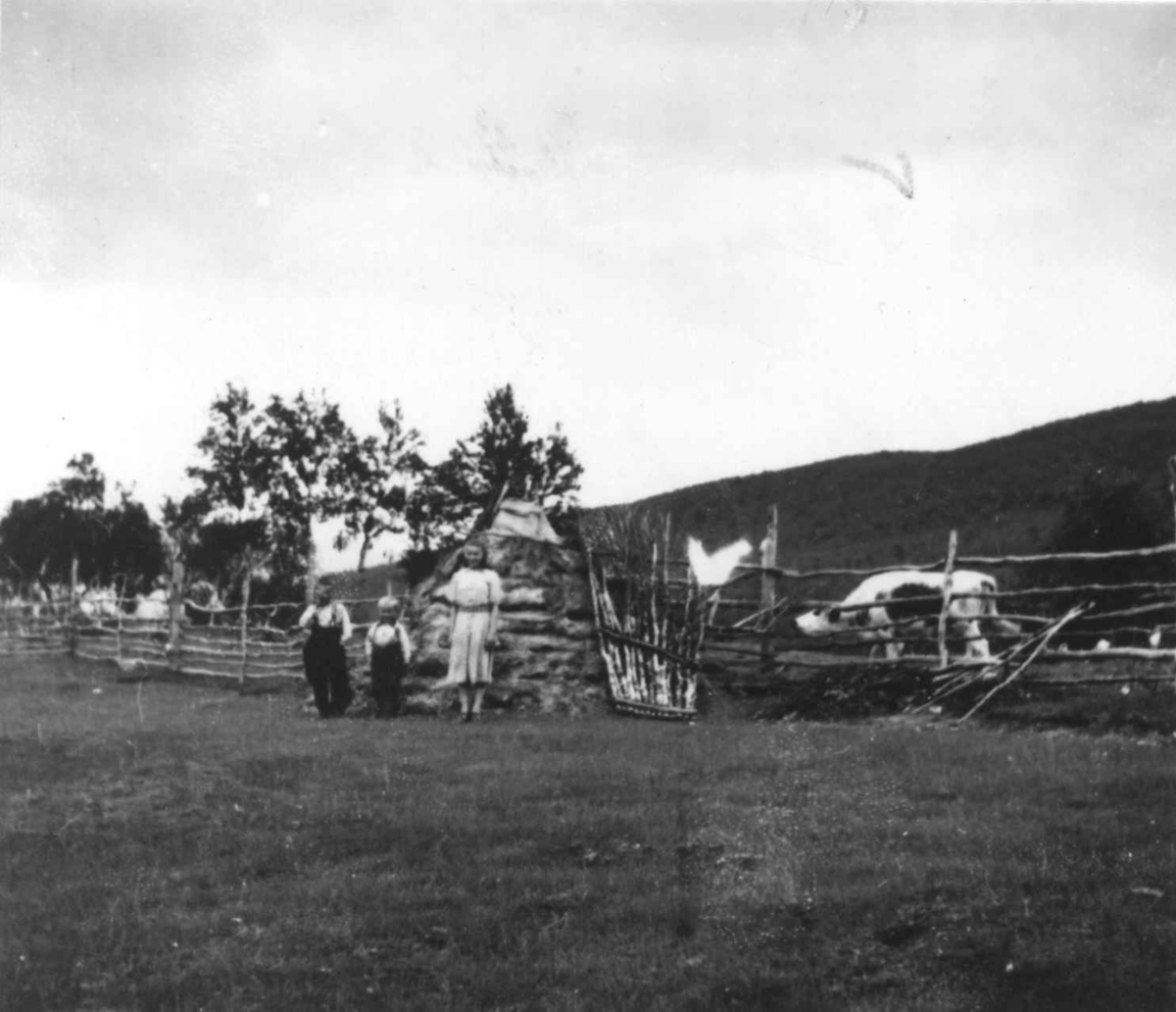 Barna til A. Rasmussen står utenfor et  sauefjøs, Javrebajnjarga 1952.