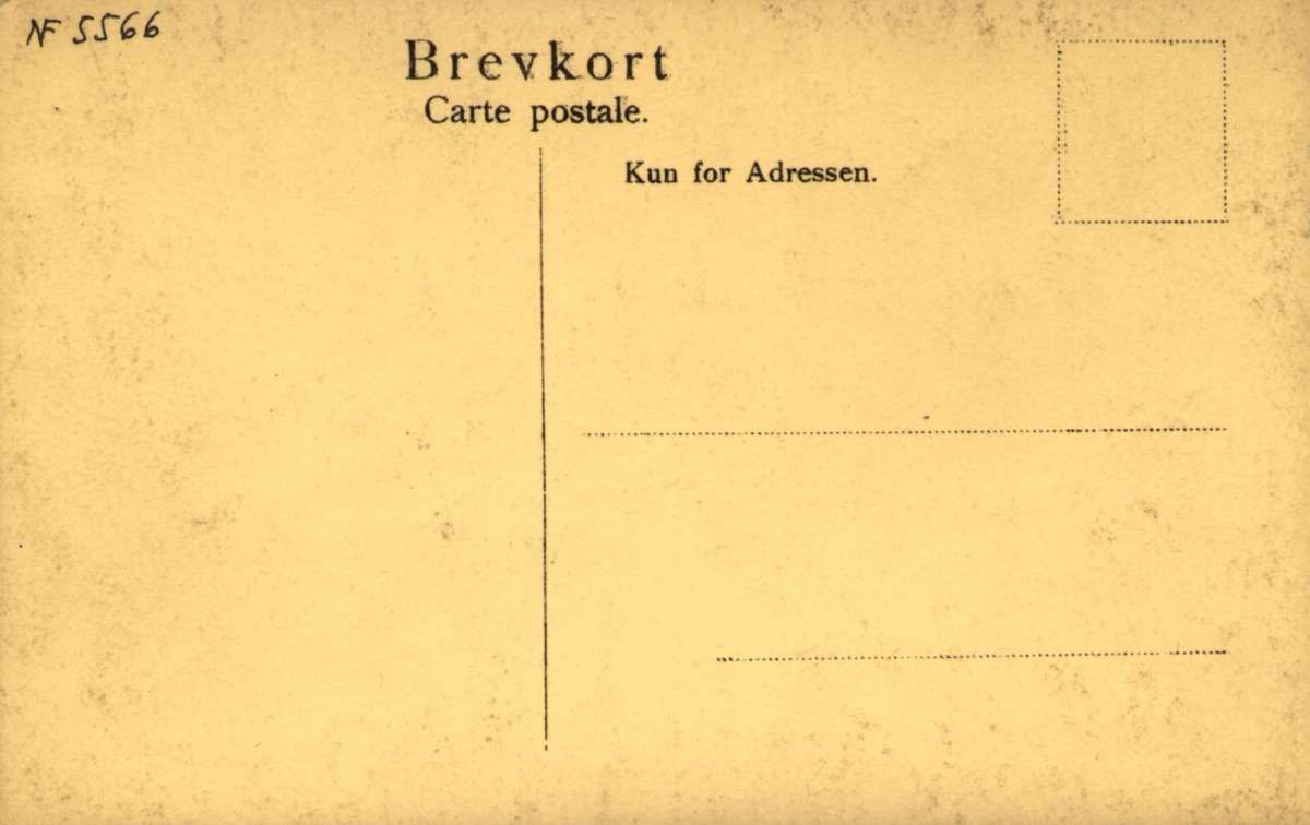 Postkort. Tekst på postkortet: Athenfarerens Hjemkomst 13de Mai 1906"