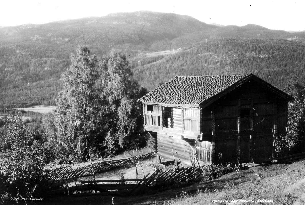 Hovland?  Eggedal, Sigdal. 1930. Oversiktsbilde. Landskap. Skog. Stabbur. Skigard
