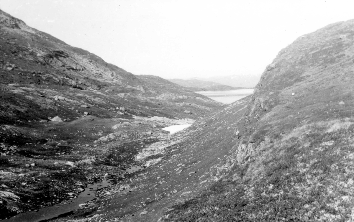 Fjellandskap På Skjellingarosa I Voss Norsk Folkemuseum Digitaltmuseum