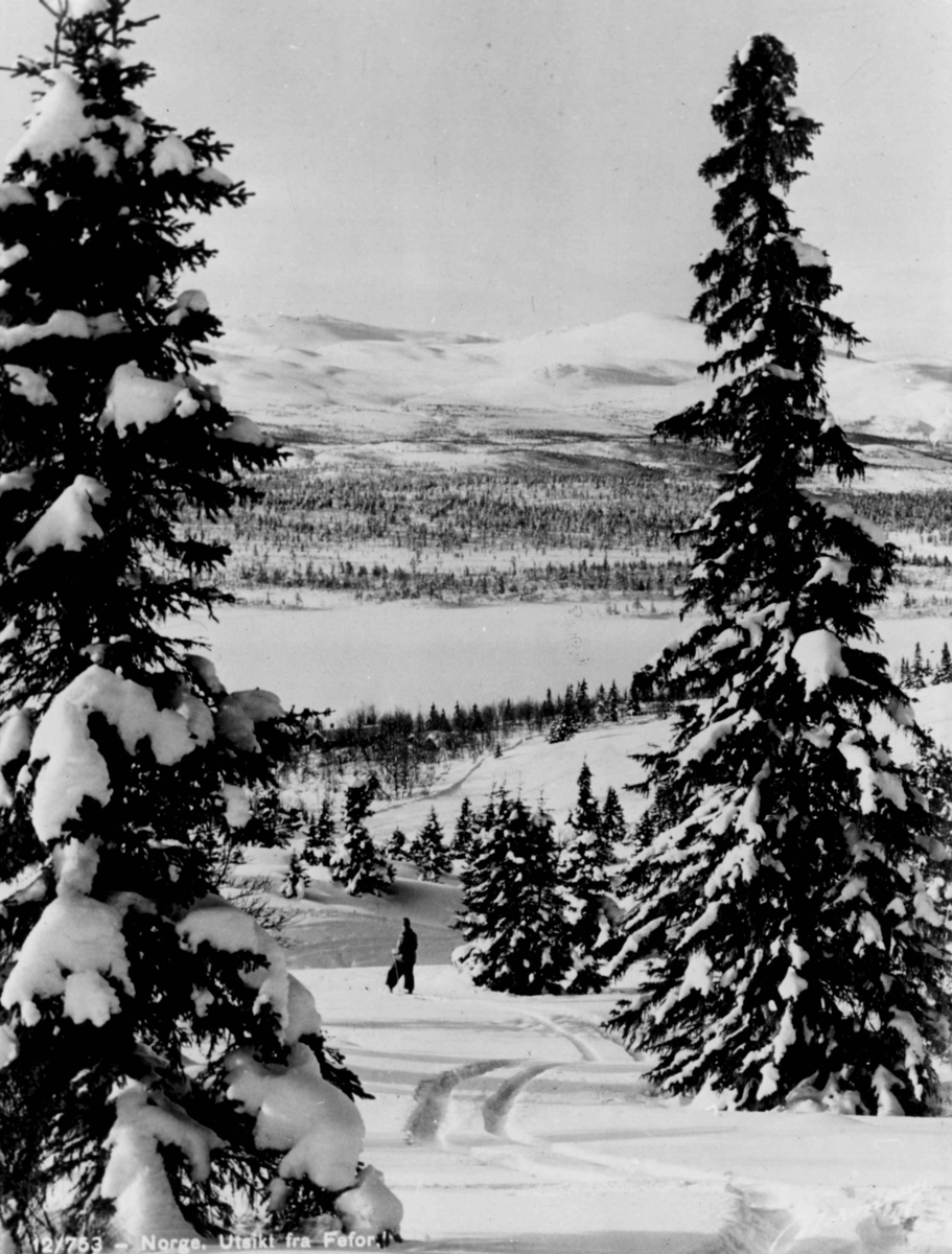 Avfotografert postkort. Utsikten fra Fefor. En enslig skiløper på vei ned en bakke bak to grantrær.