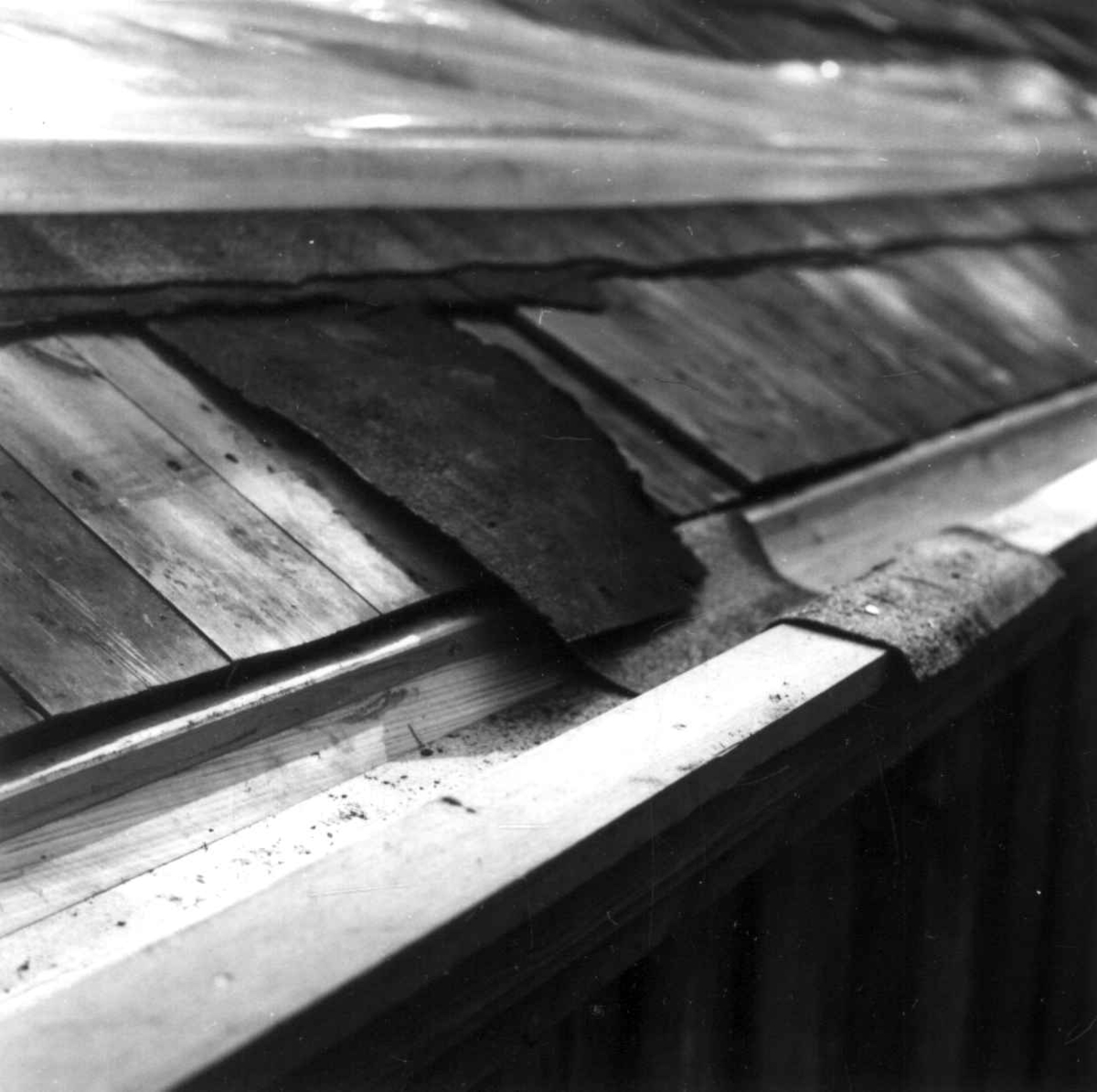 Hovedbygning fra Stiklestad Vestre, Verdal i Nord-Trøndelag ("lånna"). Reparasjon av tak, kant. Detalj av reparert trerenne. Prøven viser papptekkingsmåten. Fotografert av Arne Berg, august 1979.