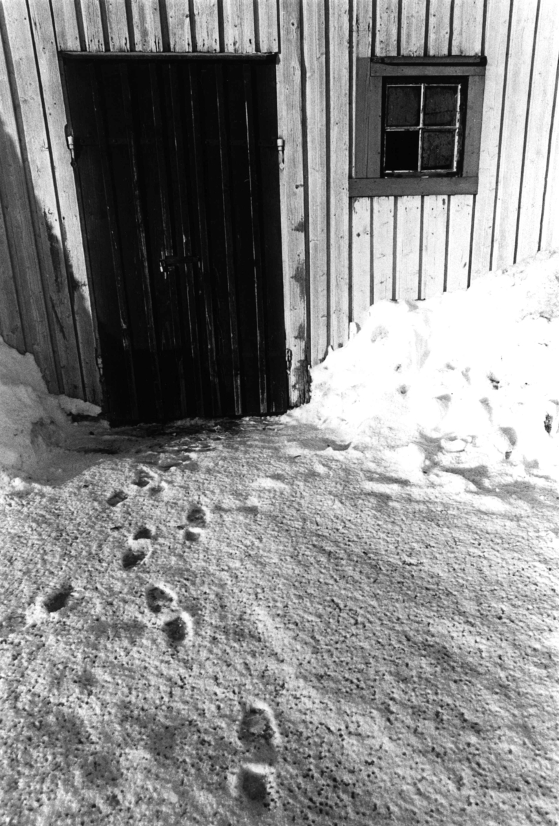 Bogstad, Oslo.1978. Vinterbilde av uthus.