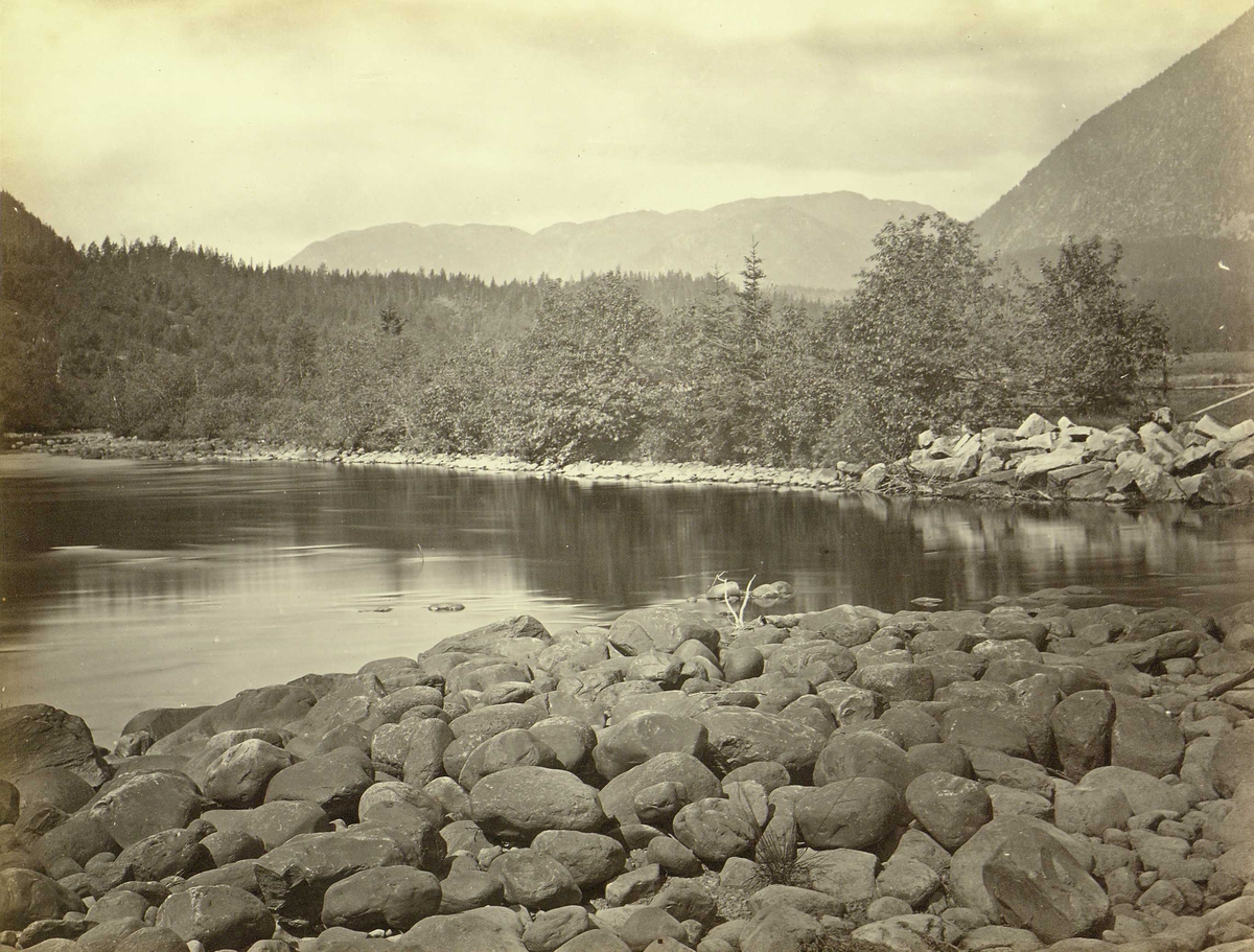 Landskap, Sauland, Hjartdal, Telemark. 
Fra serie norske landskapsfotografier tatt av den engelske fotografen Henry Rosling (1828-1911).