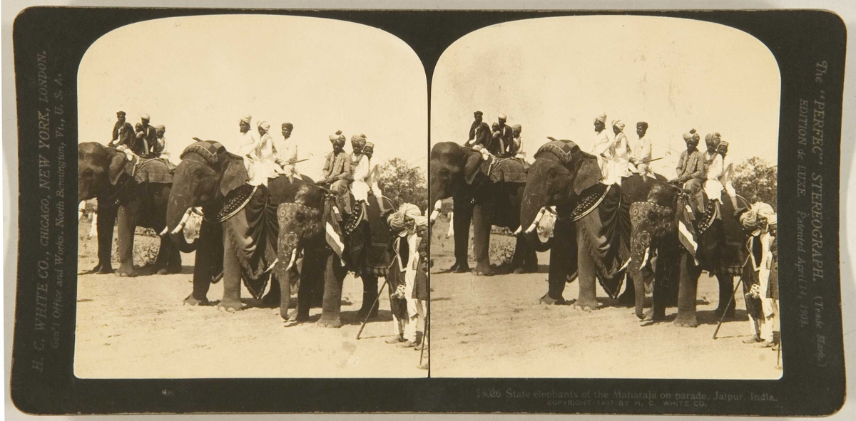 Stereoskopi. Parade med statseide elefanter. Jaipur, India.