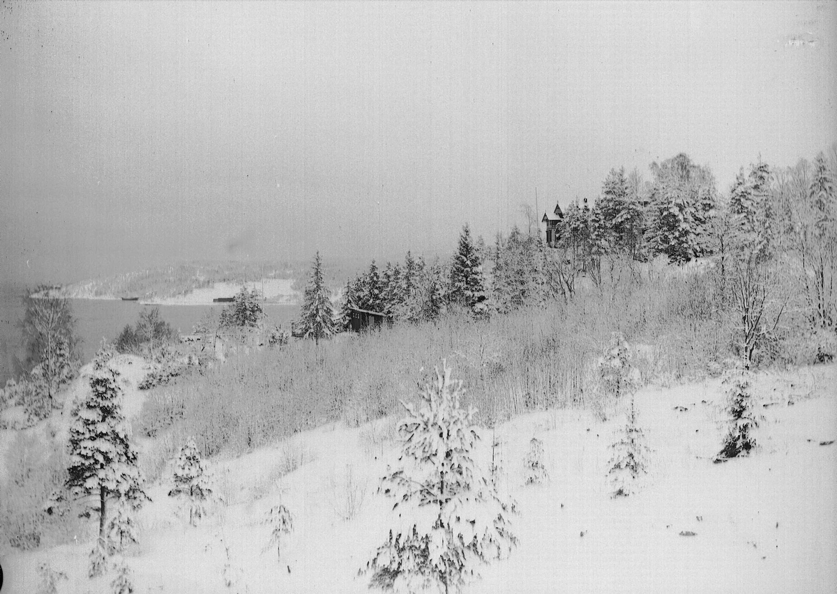 Vinterbilde fra Digerud, Frogn, Akershus, 1908.