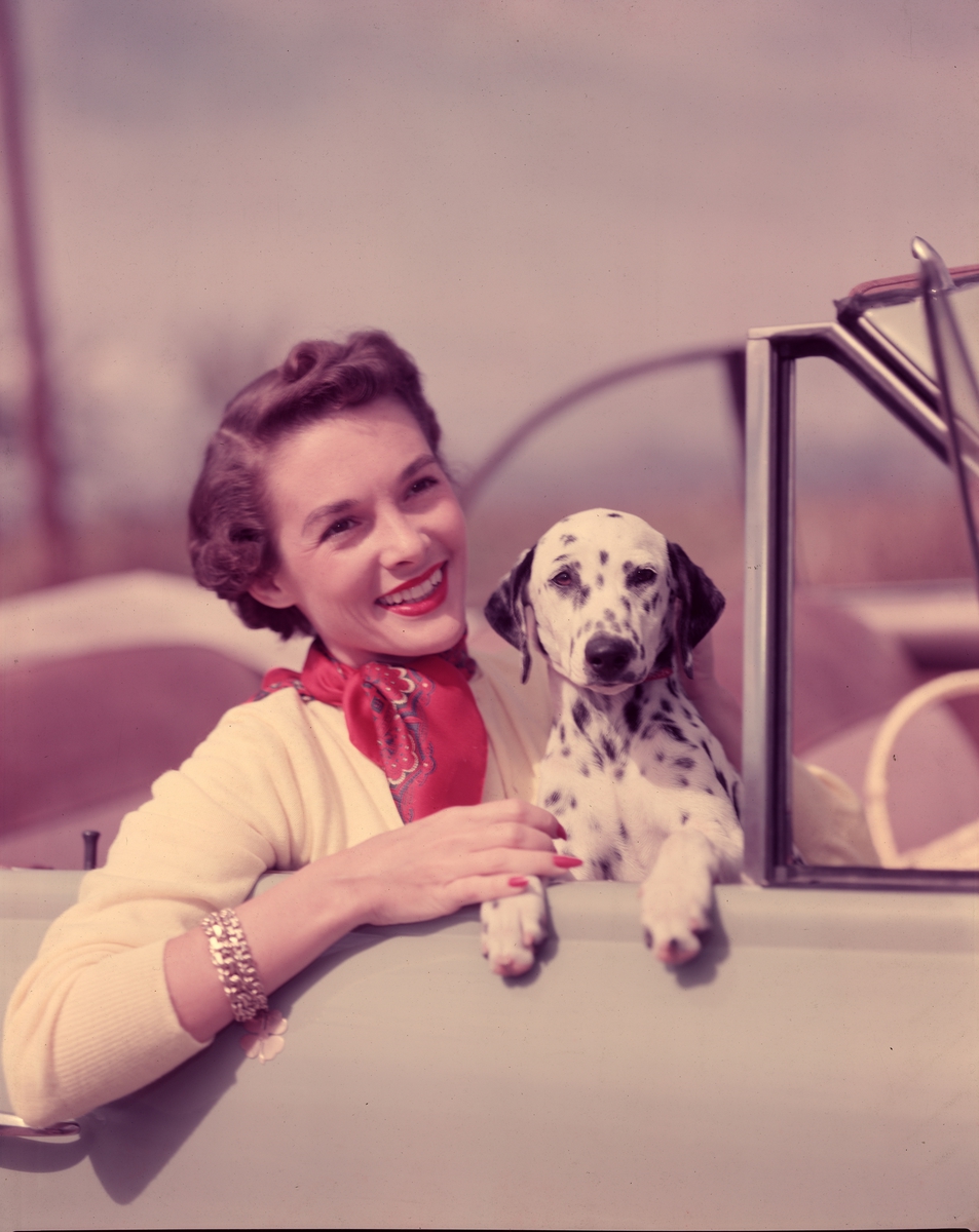 Reklamefoto. Kvinnelig modell i bil med hund på fanget.