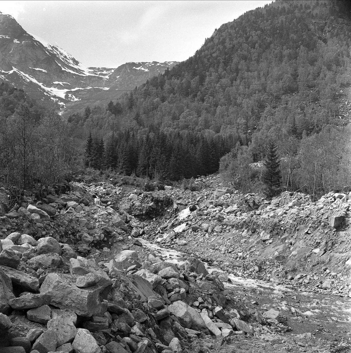 Sørfjorden i Hardanger, Hordaland, mai 1963. Steinbrudd og skogkledd fjell.