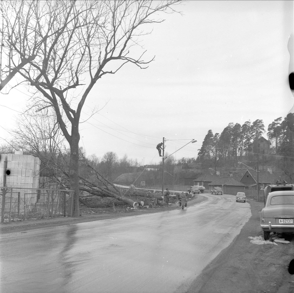 Drammensveien, 16.04.1956. Trærne faller.