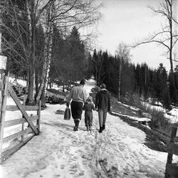 Ankerveien, Oslo, april 1958. Familie på tur i skogen.