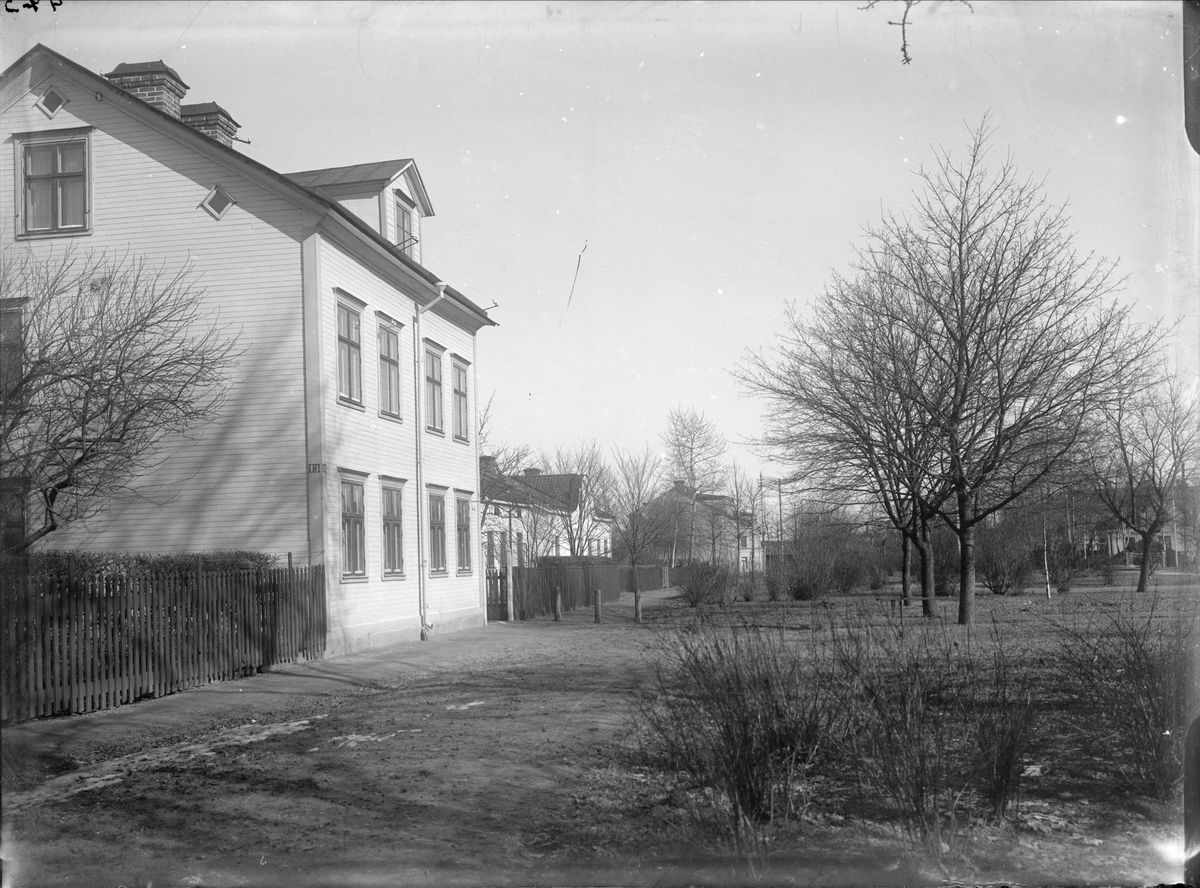 Luthagsesplanaden från Wallingatan, Luthagen, Uppsala 1908