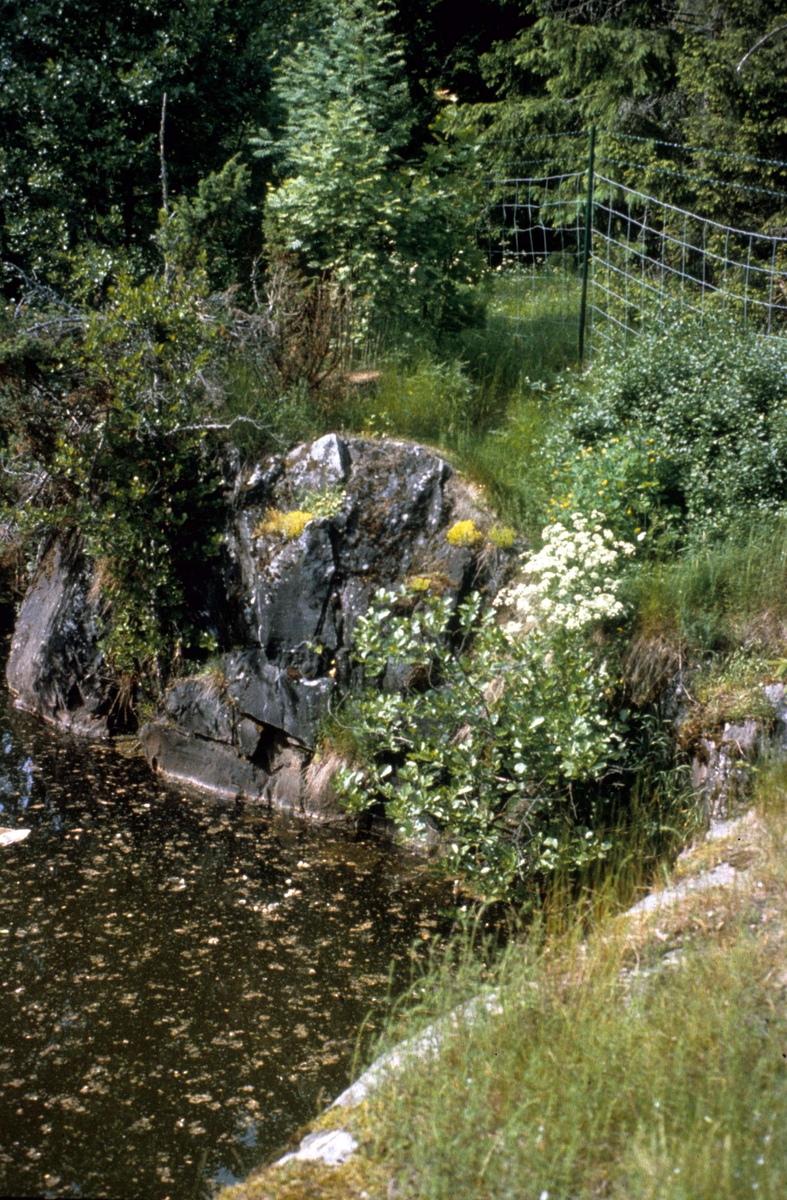 Gruvhål, Björstagruvan, Hargs socken, Uppland 1983