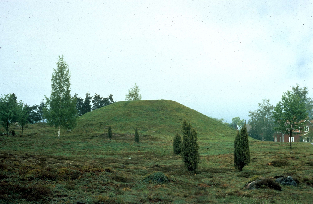 Ottarshögen i Vendel socken, Uppland juni 1972