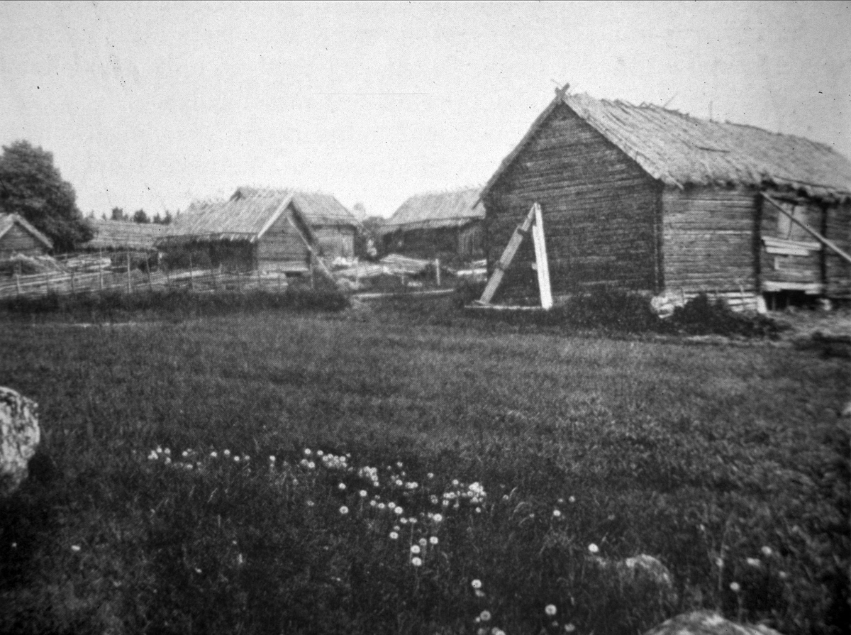 Kvekgården i Fröslunda socken, Uppland, sommaren 1933