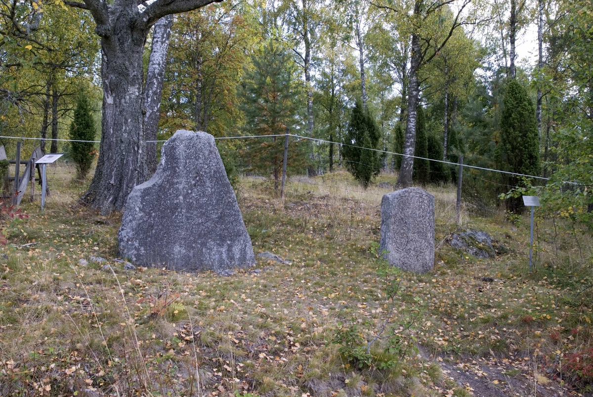 Runstenarna U1174 och U1175 i Stora Ramsjö, Vittinge socken, Heby kommun, Uppland