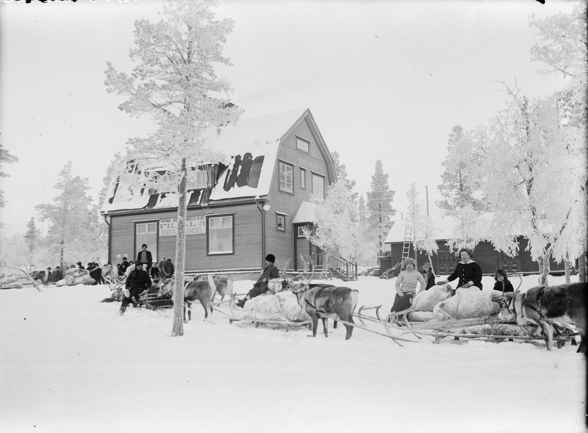 Renrajd framför konsumbutiken i Tuolluvaara, Kiruna, Lappland 1913-1918