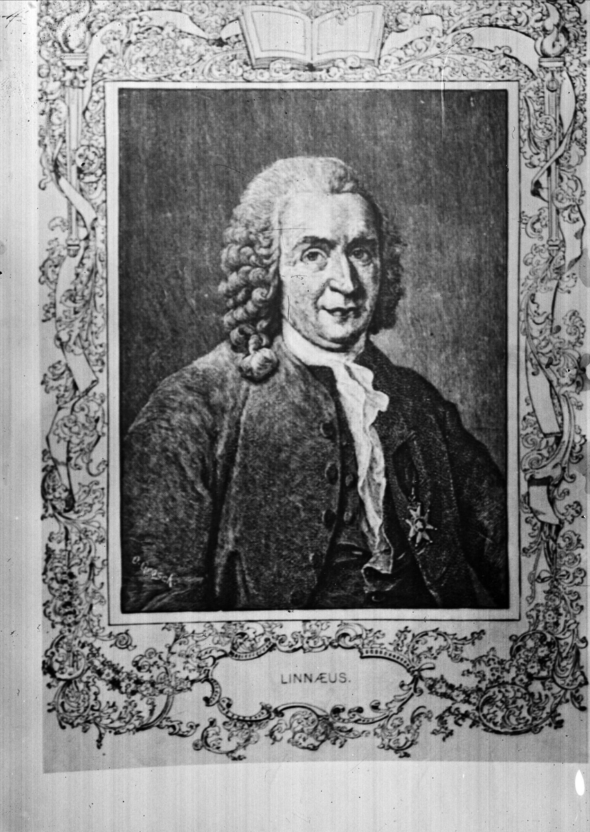 Sida ur skrift med porträtt av Linné