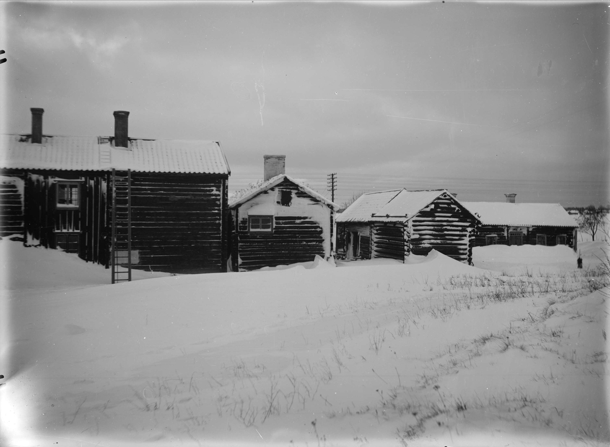 Friluftsmuseet Disagården, Gamla Uppsala vintern 1931
