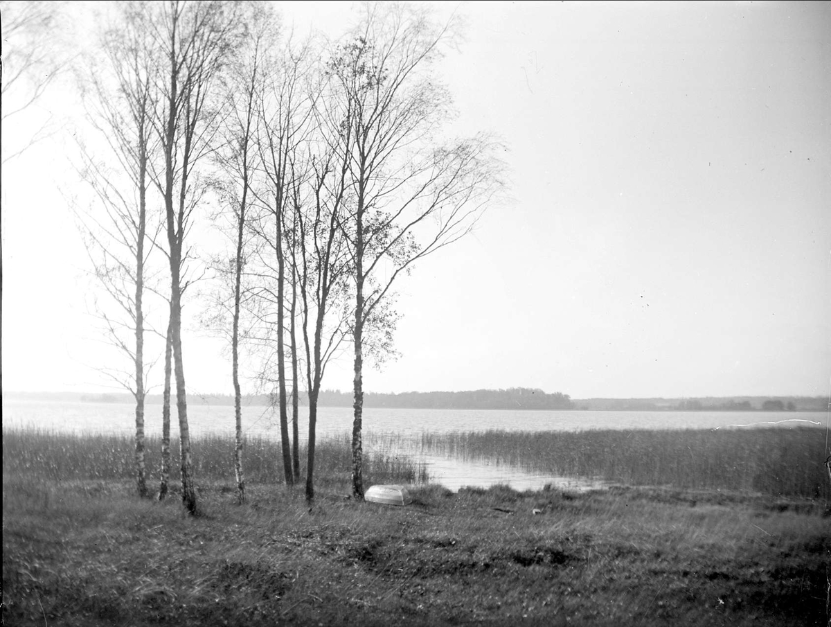 Strand vid Fysingen, Skånelaholm, Skånela socken, Uppland 1928