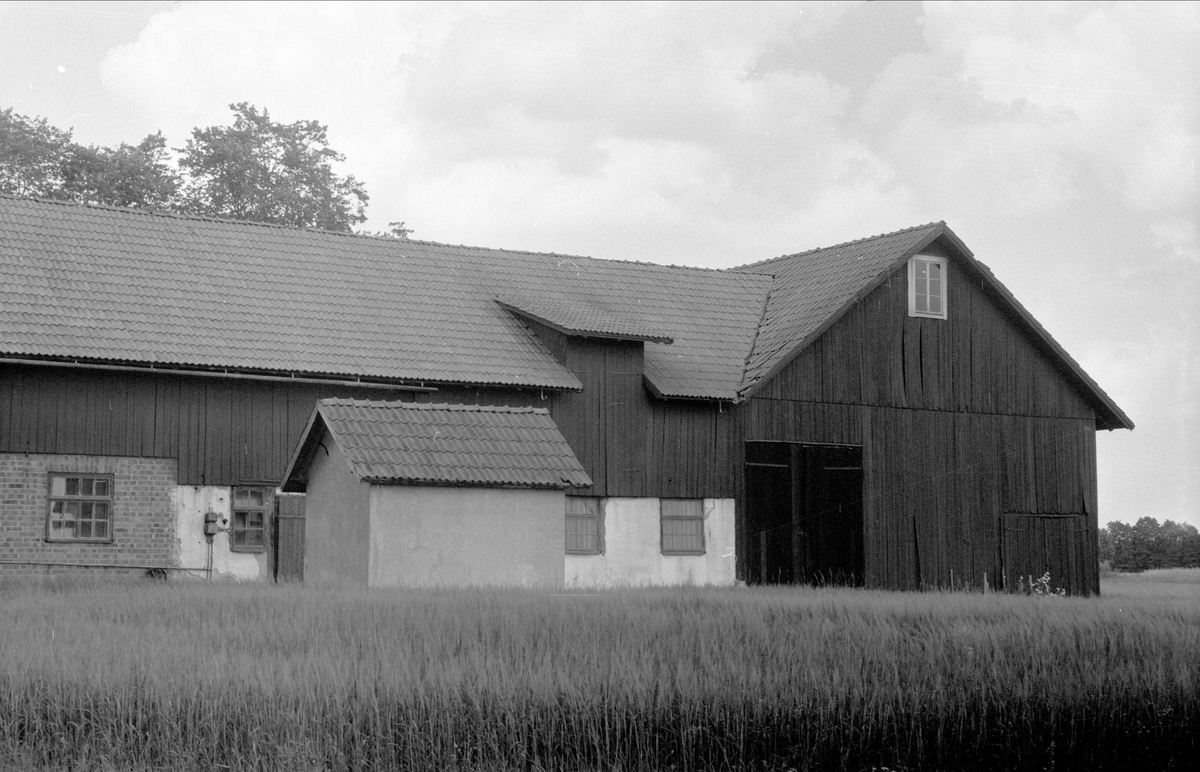 Stall, mjölkkammare och lada, Högsta 1:6, Bälinge socken Uppland 1976