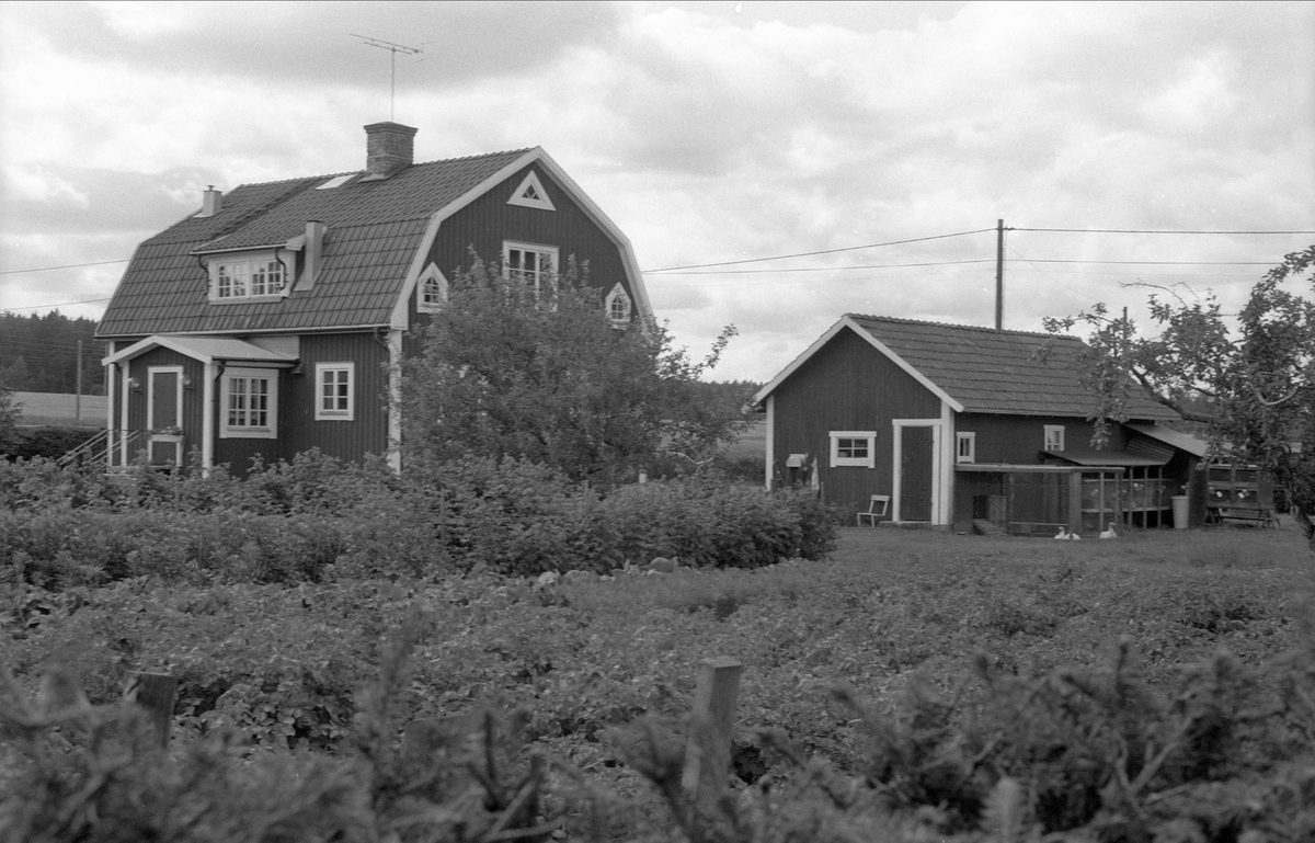 Bostadshus och uthus, Broby 3:5, Börje socken, Uppland 1983