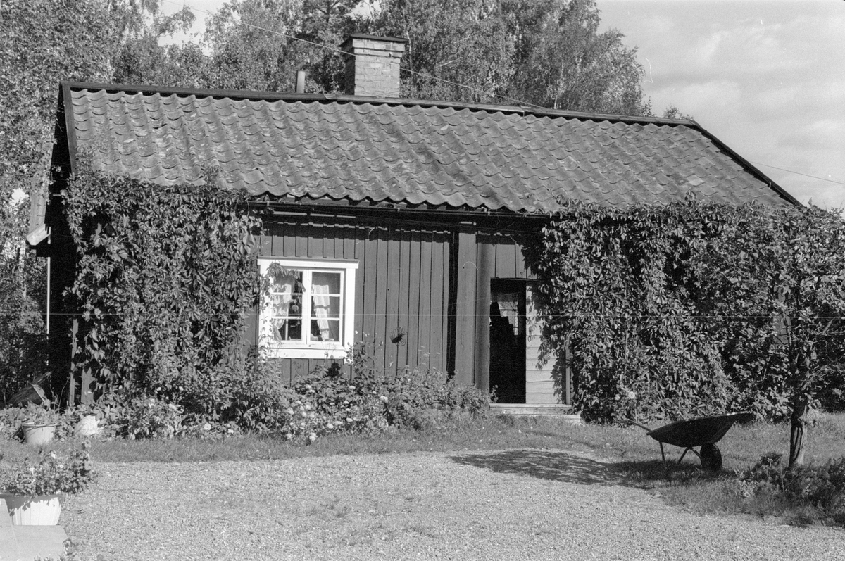 Brygghus och sommarkök, Hånsta 1:5, Hånsta, Lena socken, Uppland 1978