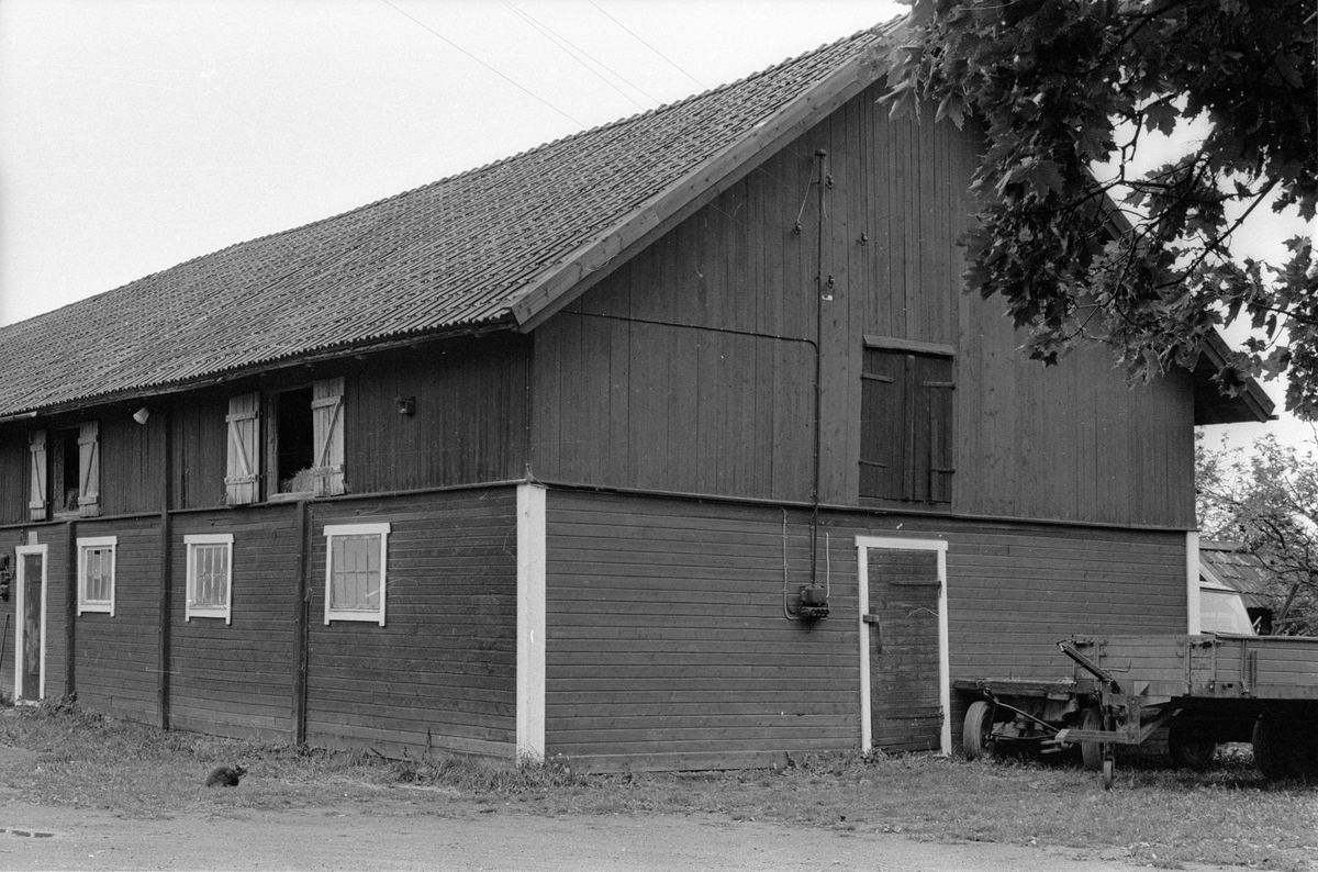 Stall, ladugård och svinhus, Hånsta 1:10 med flera, Hånsta, Lena socken, Uppland 1978