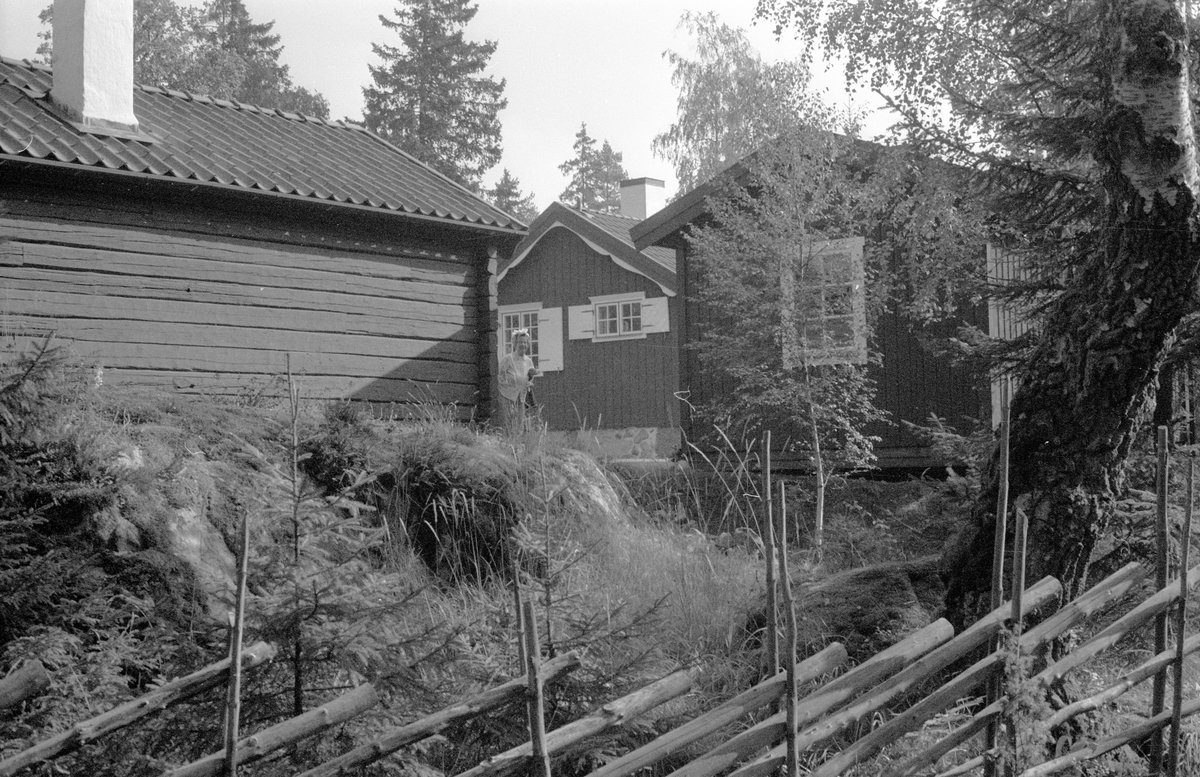 Vy över Majbacken, Marielund, Funbo socken, Uppland 1982