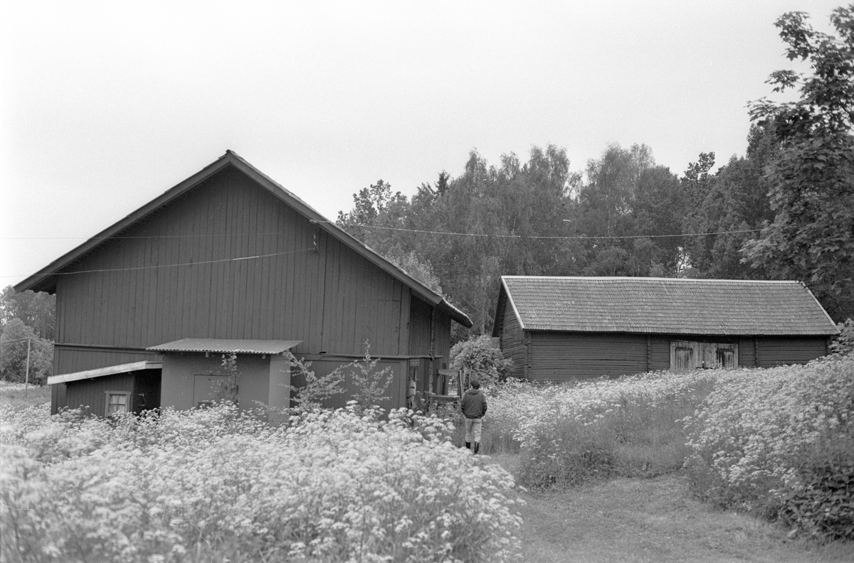 Ladugård/loge och loge, Vreta, Burvik, Knutby socken, Uppland 1987