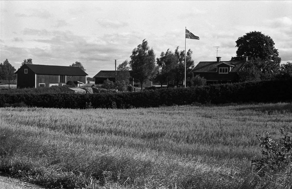Vy över Ellringe 1:7, Lilla Ellringe, Almunge socken, Uppland 1987