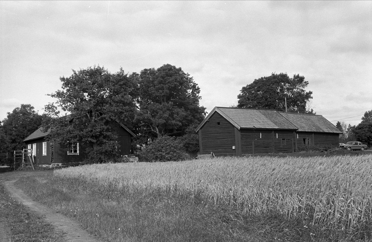 Bostadshus och bodlänga, Lilla Väsby 1:10, Almunge socken, Uppland 1987