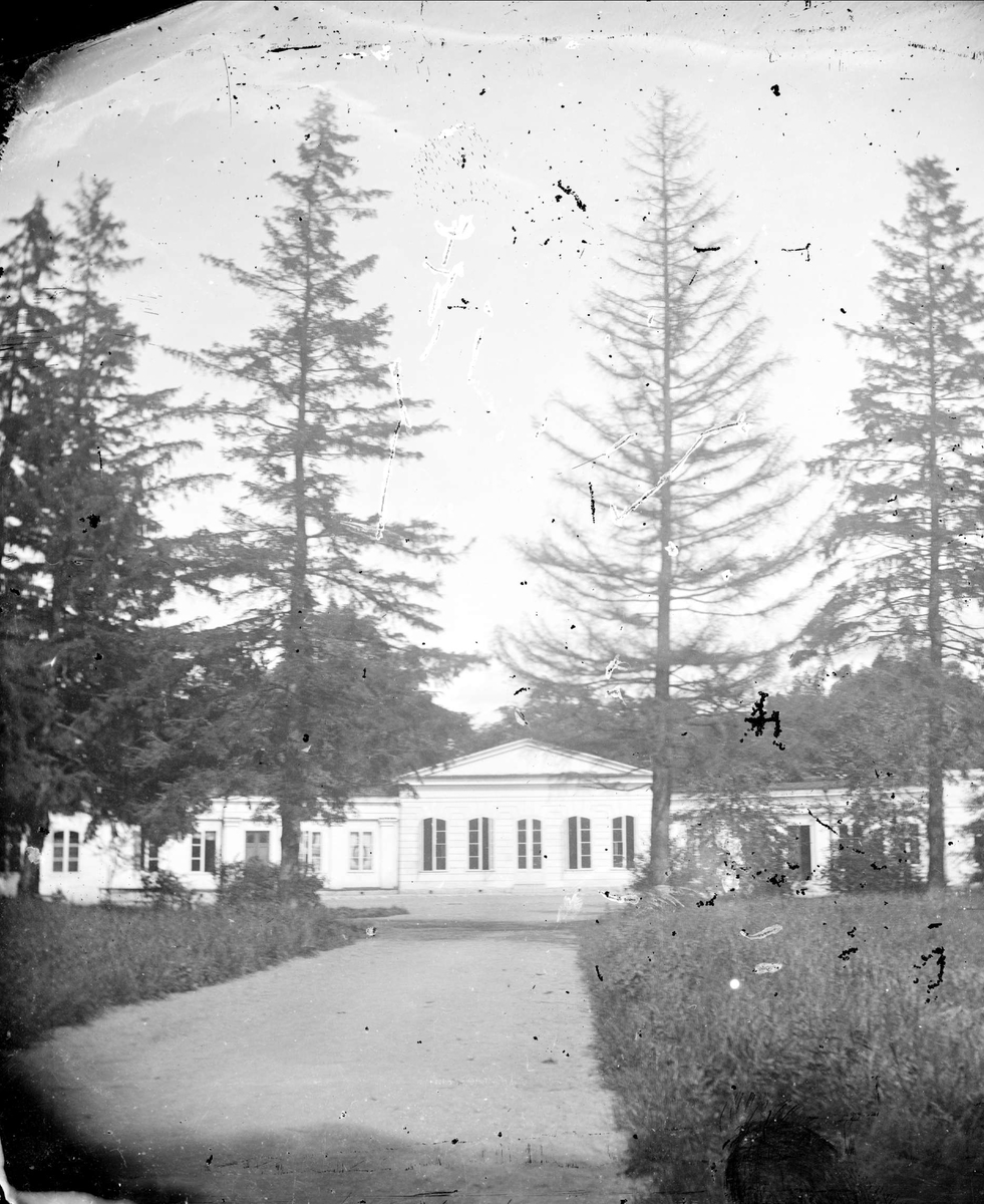 Linnéträdgården med orangeriet, Uppsala 1878