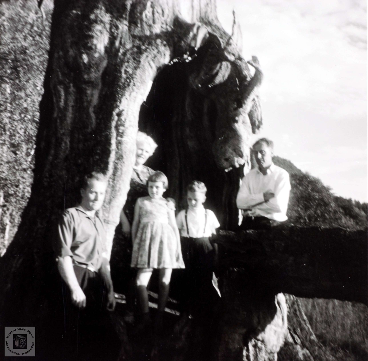 Personer fra Sveindal på tur til Grendi i Bygland, her i et gammelt tre. 
