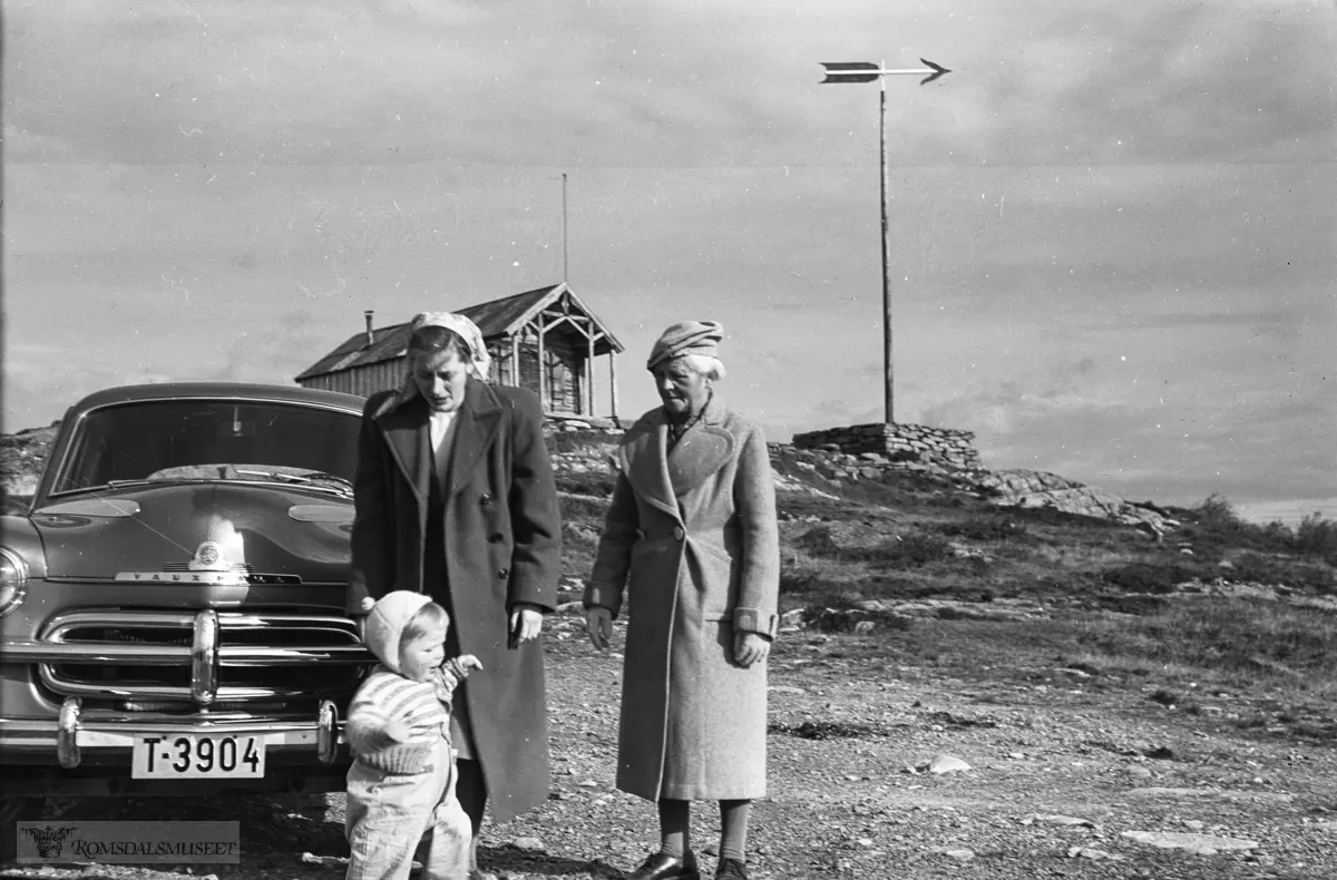 Dr Kristine Nolfi drev Humlegården i københavn..(Vauxall Velox laget fra 1951 - 1957).