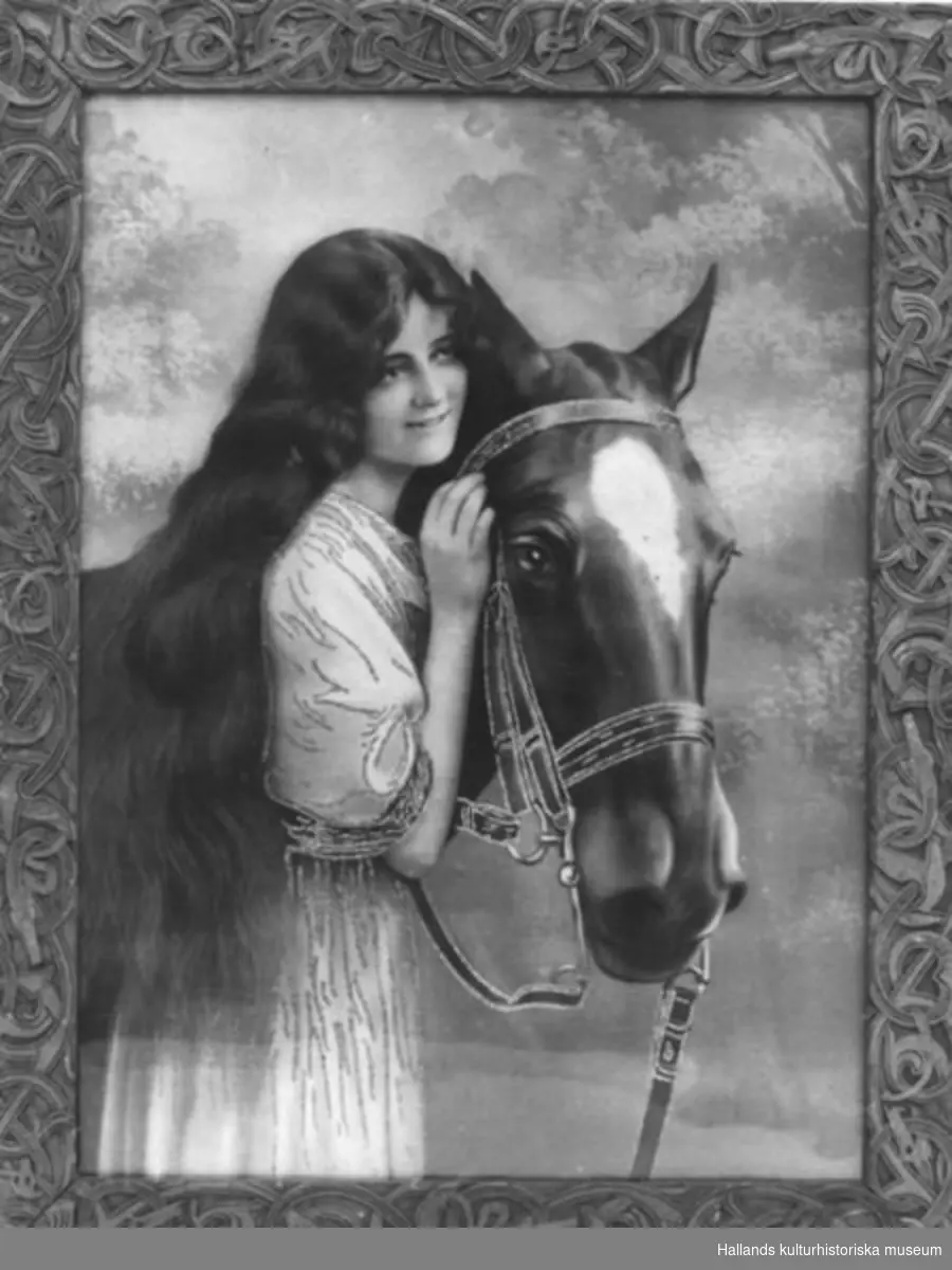 Rektangulär.a) Oljetryck. Flicka med långt hår står och håller om en häst. Färger: Olika nyanser brunt samt silverglitter. Bredd 35 cm, höjd 48 cm. Glasat.b) Ram: trä, ytskikt av gips, brunmålad, med djurornamentik.