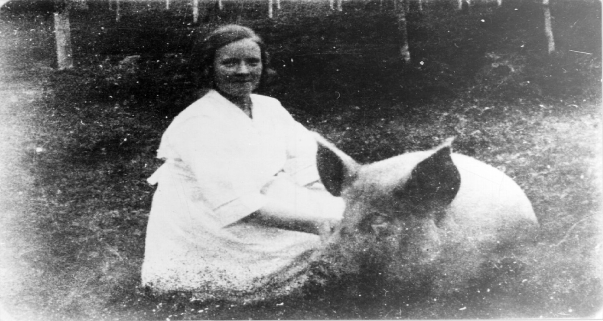 Portrett. Agnes Berg med grisen som fulgte henne hvor hun enn gikk. Den veide 122 kg som slakt. Stigen, Lyngen, 1922.