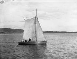 'Urd' under regatta, Vestfjord, 1896