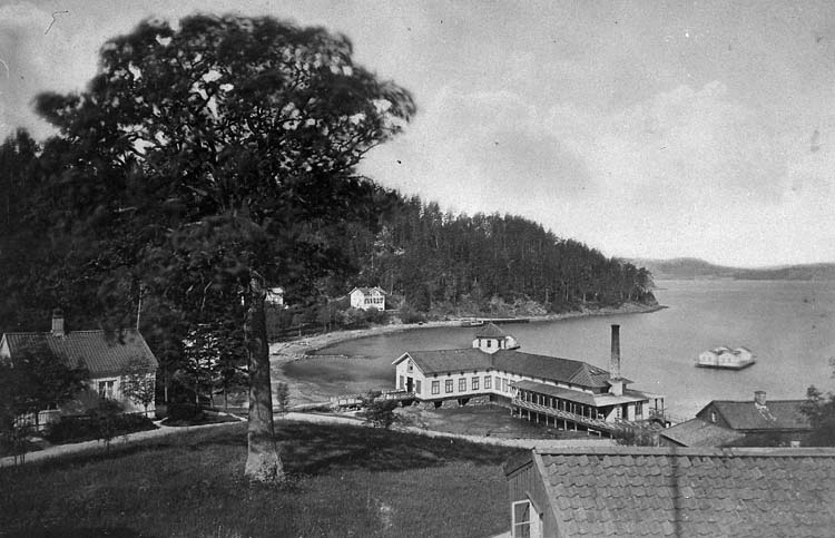 Enligt text på fotot: "Utsikt från "Gibraltar" mot väster, Gustafsberg. Efter 1877 men före 1887".
