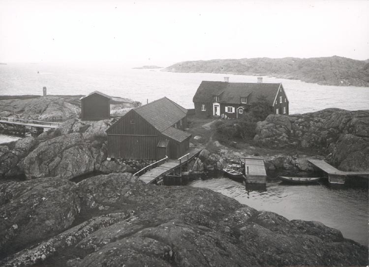 Noterat på kortet: "KÅLHUVUDET TJÖRN".
"FOTO (E83) DAN SAMUELSON 1924. KÖPT AV DENS. DEC. 1958".