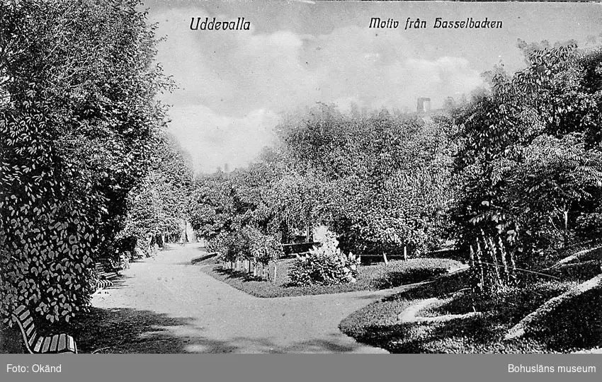 Tryckt text på vykortets framsida: "Uddevalla. Motiv från Hasselbacken".