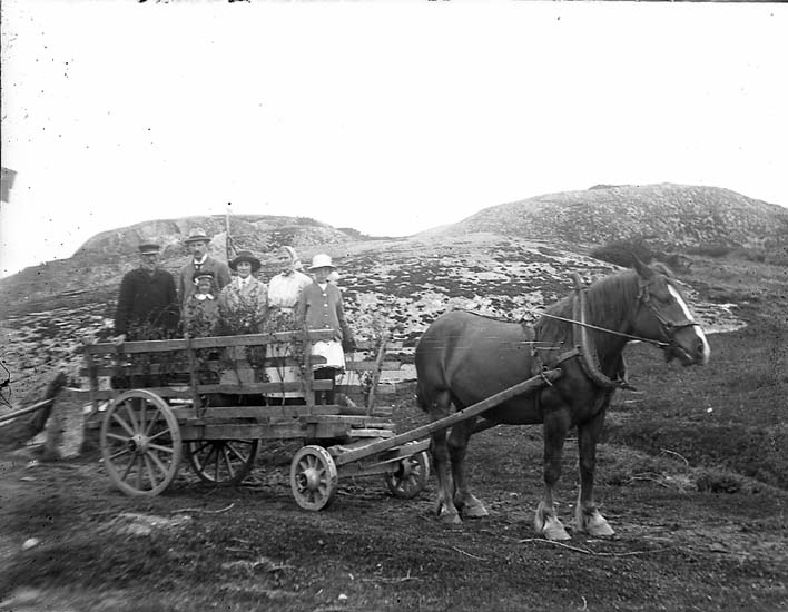 Enligt notering: "I vagnen. Familjen Krok, Skistad".