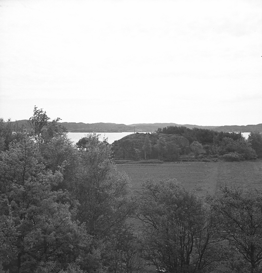 Text till bilden:"Gunnarsson, Sommarstuga. 1946.05.26".




