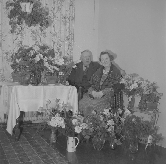 Text till bilden: "Fru Blomdal. Ålderdomshemmet. 1955.04.18"







