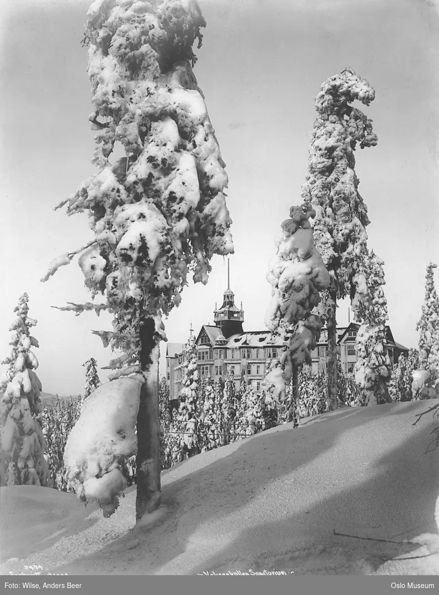 granskog, snø, Voksenkollen sanatorium, vinterstemning