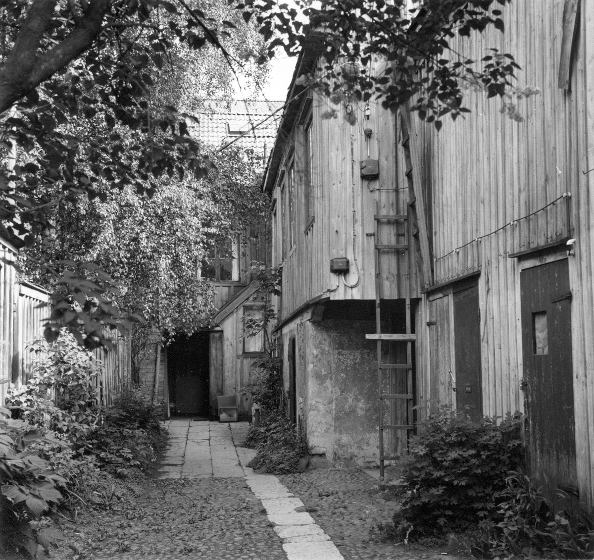 Bakgård vid Kanalgatan 59 i Jönköping. Gården är belagd med kullersten och plattor. Vid sidorna mot husvägg och plank finns blomrabatter och stora träd skuggar gården. En stege är rest mot väggen i hörnet.