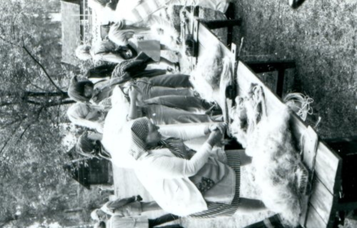 Halmstad, Sofiavägen. Galgberget, Hallandsgården. Lindag på Hallandsgården 1981-08-30. Bilderna visar linberedningen steg för steg: spinning av lintågor, linet bråkas, linet häcklas.