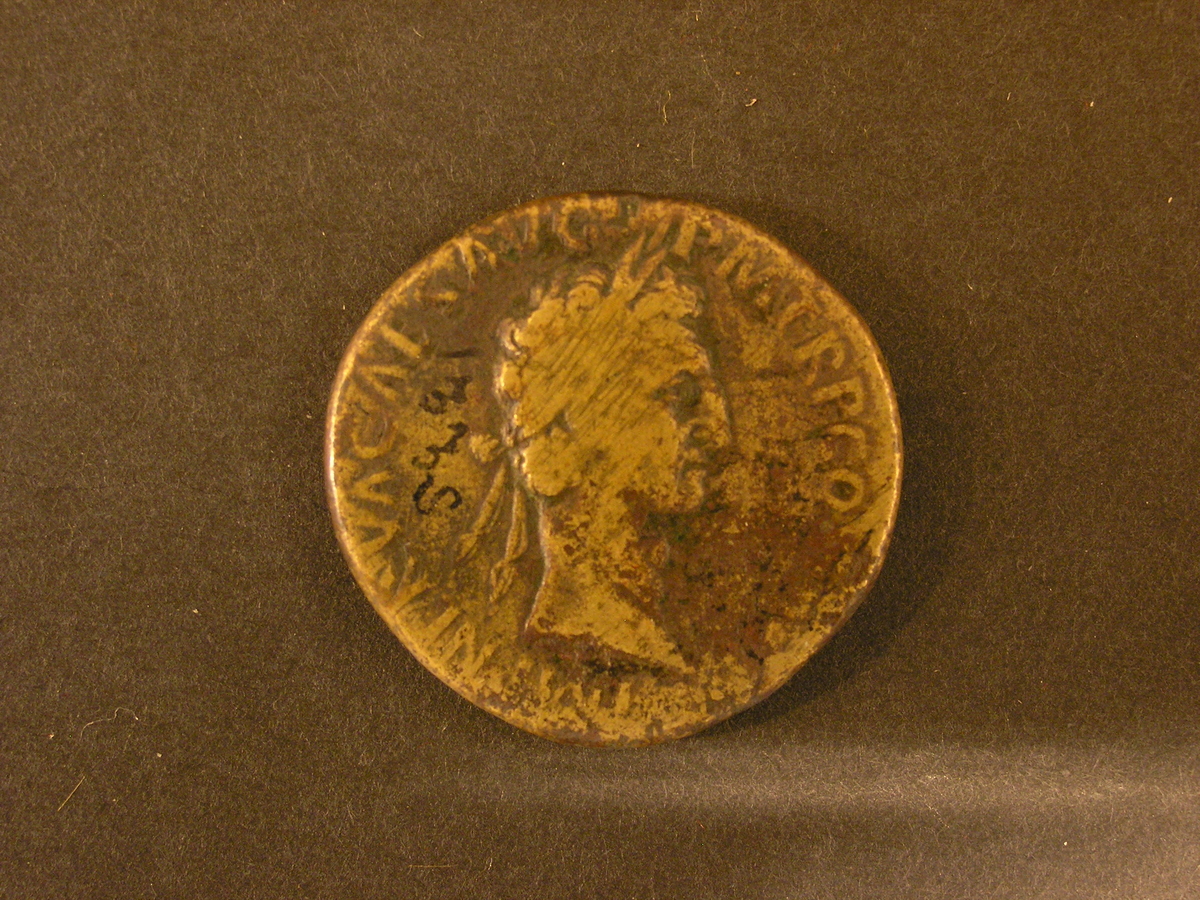 Kopia av medalj som präglats på den romerske kejsaren
Nervastid (död år 98), som minne av att denne kejsare beviljade
folket iItalien vissa lättnader i fråga om att ställa hästar till
förfogandeför den romerska statens trafikinrättning Cursus Publicus".
Kopiangjord i brons. Åtsidan visar ett porträtt i profil av Kejsar
Nerva,frånsidan visar två betande hästar, med text enligt MRK.
