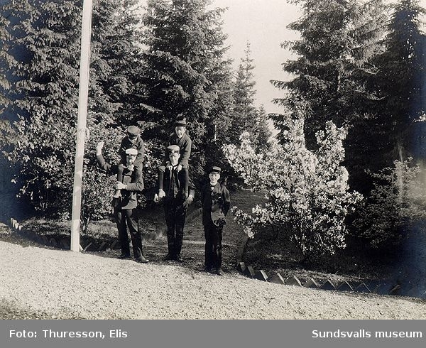 Förmodligen de fem bröderna Thuresson i trädgården till Thurebo, familjens sommarhus i Petersvik.